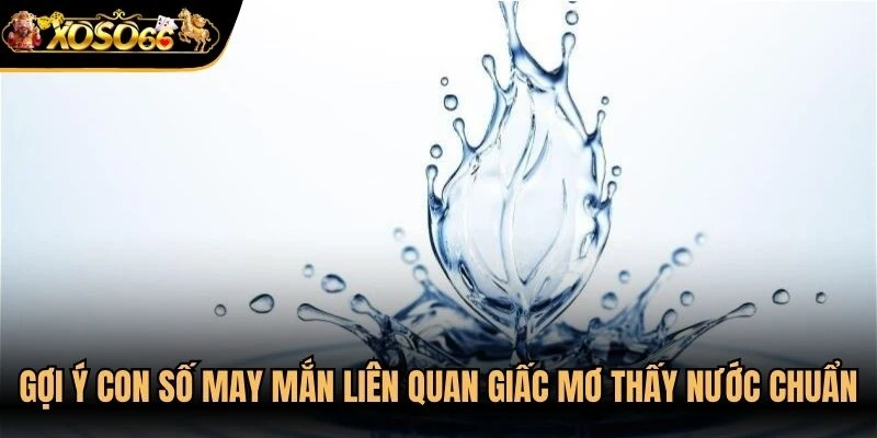 Gợi ý những con số may mắn liên quan giấc mơ thấy nước chuẩn