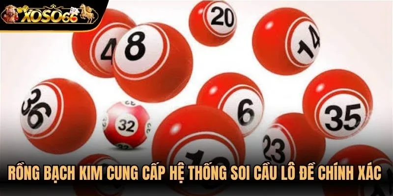 Rồng bạch kim cung cấp hệ thống soi cầu lô đề chính xác cho người chơi
