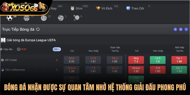 Bóng đá nhận được sự quan tâm lớn nhờ hệ thống giải đấu phong phú
